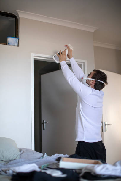 Best Basement Mold Removal  in Napoleon, OH