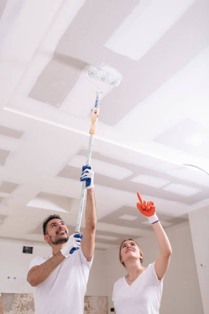 Professional Mold Removal in Napoleon, OH