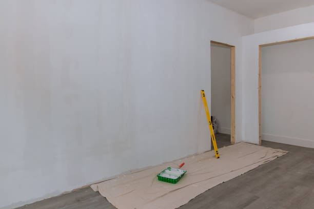 Best Mold Removal for HVAC Installations  in Napoleon, OH