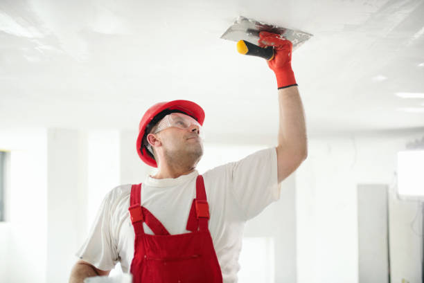 Best Mold Odor Removal Services  in Napoleon, OH