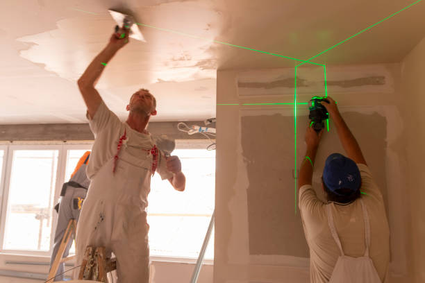 Best Mold Prevention Services  in Napoleon, OH