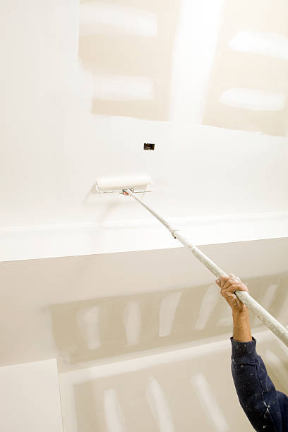 Best Mold Remediation for Healthcare Facilities  in Napoleon, OH