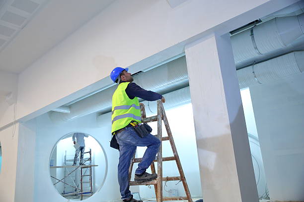  Napoleon, OH Mold Removal Pros